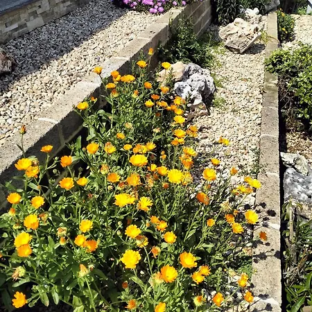 Tatil Evi Sara Fontanacervo